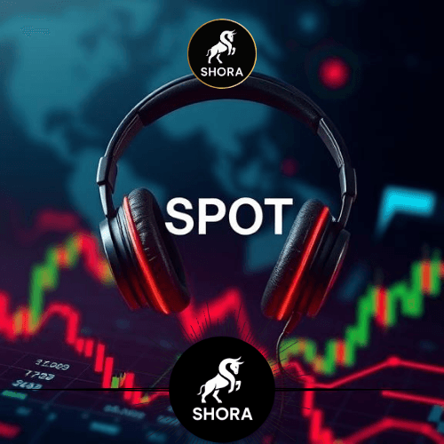 Spotify Stock Rallies on Positive News